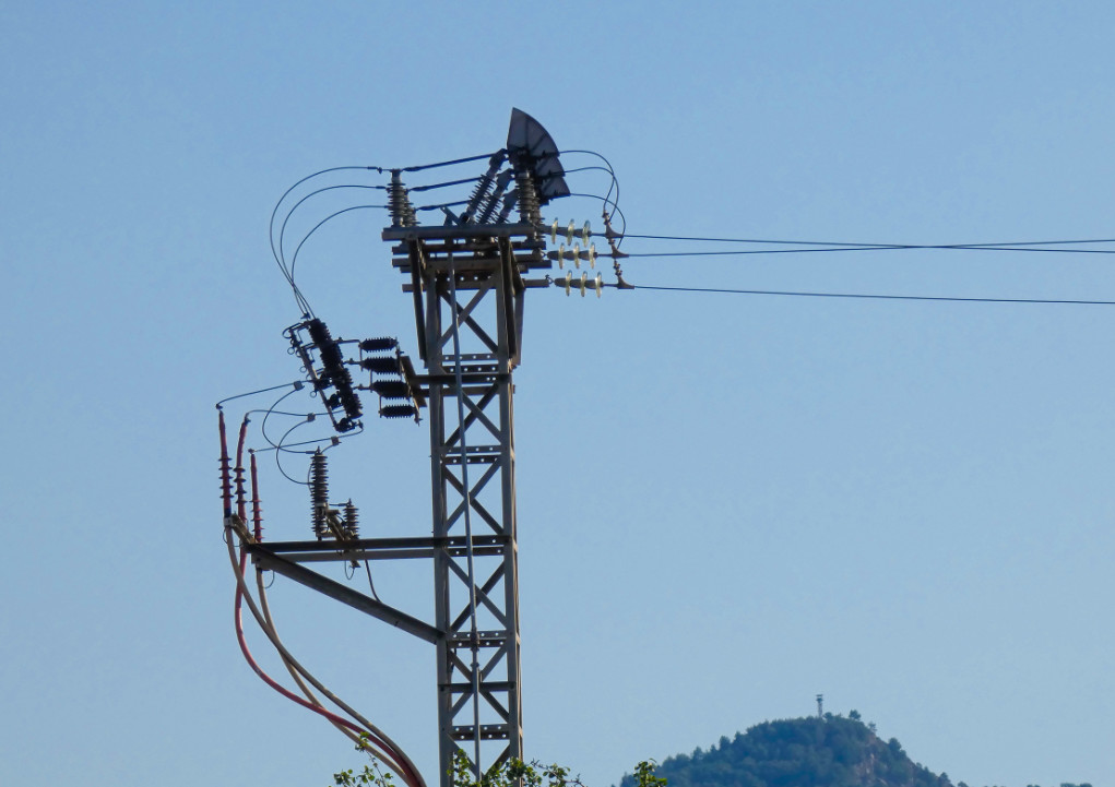 service details image